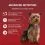 PURINA ONE MINI Куче Sensitive Сьомга в сос 10 x 85 г