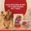 PURINA ONE MINI Куче Sensitive Сьомга в сос 10 x 85 г