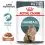 Royal Canin Hairball Care Gravy консерви за котки в сос 24 x 85 г
