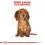 ROYAL CANIN гранули за кученца на дакел 1,5 кг