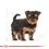 ROYAL CANIN Yorkshire Puppy гранули за кученце йоркширски териер 7,5 кг