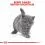 Royal Canin British Shorthair Kitten гранули за британски късокосмести котенца - 400 г