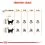 Royal Canin Hair And Skin Care гранули за котки за здрава кожа и козина 10 кг