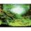 Фон за аквариум PLANTS/OCEANS XL - 150 x 60см