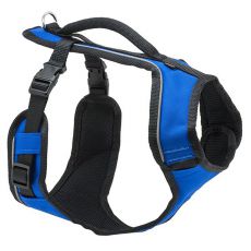 Нашийник за куче EasySport „S“, синьо
