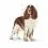 ROYAL CANIN Medium Light Weight Care диетични гранули за средни кучета 3 кг