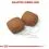 Royal Canin Giant Junior гранули за гигантски кученца 15 кг