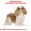 Royal Canin Cavalier King Charles Adult гранули за възрастен кавалер кинг чарлс 1,5 кг