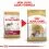 Royal Canin Cavalier King Charles Adult гранули за възрастен кавалер кинг чарлс 1,5 кг