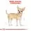 ROYAL CANIN Chihuahua Adult гранули за възрастна чихуахуа 1,5 кг