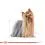 ROYAL CANIN Yorkshire Adult гранули за възрастен йоркширски териер 0,5 кг