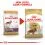 ROYAL CANIN Cocker Adult гранули за възрастен кокер шпаньол 3 кг