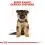 ROYAL CANIN гранули за кученца на немска овчарка 12 кг