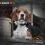 Нашийник против лаене - Sportdog NOBARK SBC-RE