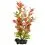 Ludwigia repens (Red Ludwigia) - растение Tetra 30 см, L