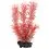 Myriophyllum heterophyllum (Red Foxtail) - растение Tetra 15 см, S