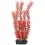 Myriophyllum heterophyllum (Red Foxtail) - растение Tetra 30 см, L