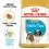 ROYAL CANIN Shih Tzu Puppy гранули за кученце ших цзу 1,5 кг