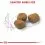 ROYAL CANIN INDOOR +7 - 1,5 кг
