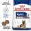 ROYAL CANIN MAXI Ageing 8+, 15 кг