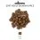 CHICOPEE Soft Adult Salmon & Rice 15 кг