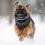 Жилетка AiryVest Colar черно-зелена, XS 30