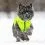 Жилетка AiryVest Colar оранжево-зелена, M 45
