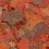 Ocean Nutrition Brine Shrimp Plus Flake 71г