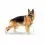 ROYAL CANIN Немски овчар Възрастен гранули за възрастен немски овчар 2 x 11 кг