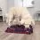 Стратегическа играчка Dog Activity Sniffing Carpet