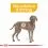 ROYAL CANIN Maxi Dermacomfort гранули за големи кучета с проблеми с кожата 12 кг