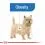 ROYAL CANIN Mini Light Weight Care диетични гранули за кучета 1 кг