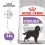 ROYAL CANIN Maxi Sterilised гранули за кастрирани големи кучета 3 кг