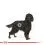 ROYAL CANIN Maxi Sterilised гранули за кастрирани големи кучета 3 кг