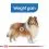 ROYAL CANIN Maxi Light Weight Care диетични гранули за големи кучета 12 кг