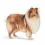 ROYAL CANIN Maxi Light Weight Care диетични гранули за големи кучета 12 кг