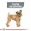 ROYAL CANIN Mini Dental Care гранули за кучета, намаляващи образуването на зъбен камък 1 кг