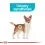 Royal Canin Mini Urinary Care гранули за кучета с бъбречни проблеми 3 кг