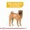 ROYAL CANIN Medium Dermacomfort гранули за средни кучета с проблеми с кожата 12 кг
