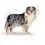ROYAL CANIN Medium Sterilised гранули за кастрирани средни кучета 12 кг