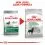 ROYAL CANIN Mini Digestive Care гранули за малки кучета с чувствително храносмилане 1 кг