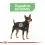 ROYAL CANIN Mini Digestive Care гранули за малки кучета с чувствително храносмилане 1 кг