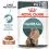 Royal Canin Hairball Care Gravy консерви за котки в сос 12 x 85 г