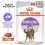 Royal Canin Sterilised Gravy консерви за кастрирани котки в сос 12 x 85 г