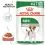 Royal Canin Mini Adult консерви за възрастни малки кучета 12 x 85 г