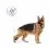 Royal Canin Maxi Adult консерви за възрастни големи кучета 10 x 140 г
