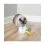 PetSafe FroliCat Peek-a-Bird - играчка за котки