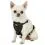 Сигурен колан Kurgo Tru-Fit Smart Harness, черен XS