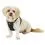 Безопасен колан Kurgo Tru-Fit Smart Harness, черен S