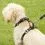 Безопасен колан Kurgo Tru-Fit Smart Harness, черен S